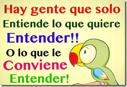 hay gente que solo entiende lo que quiere  (12)