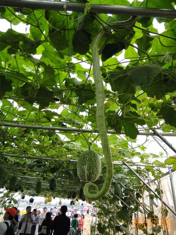 [1119%2520082%2520-%2520%25C3%25B0-%25C2%25B0%253E%25C2%25B1w%255B5%255D.jpg]