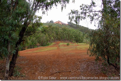 5045 Circular a Firgas-R2 5045 Circular a Firgas-R2