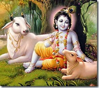 [Lord Krishna with cows]