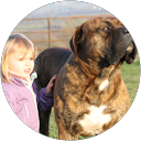 Image Google de DERCOURT ELODIE