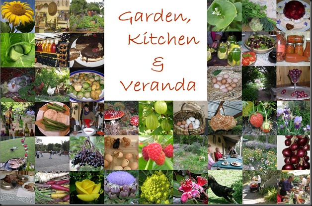garden, kitchen & veranda 2