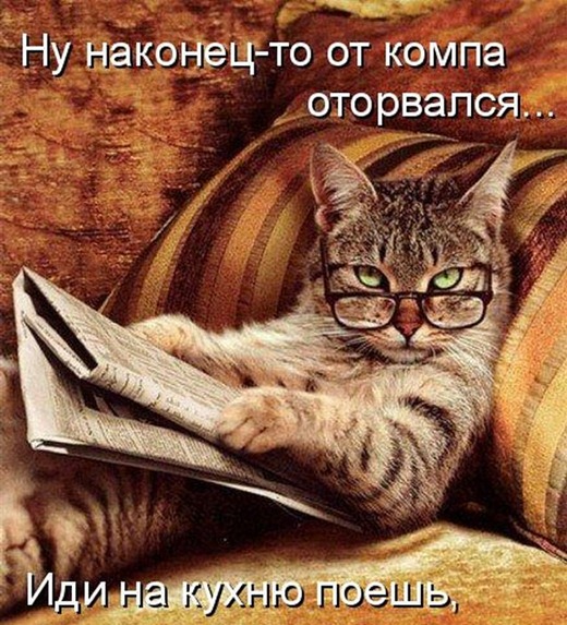 [kotomatrix_00022%255B5%255D.jpg]