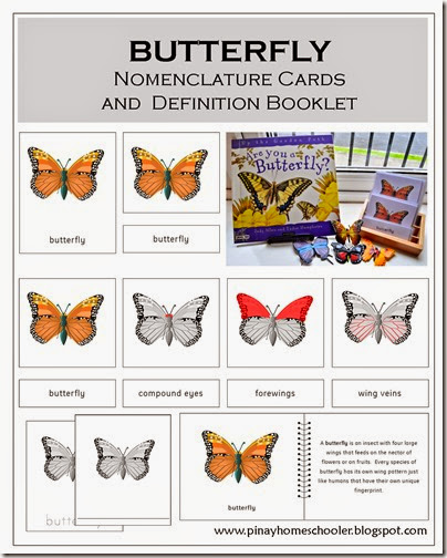 Butterfly Nomenclature Cards