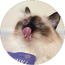 JT PR profile picture