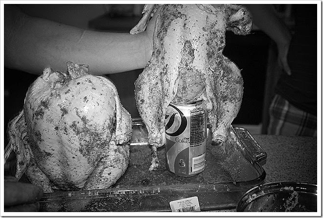beer-butt-chicken-free-pictures-1 (1918)
