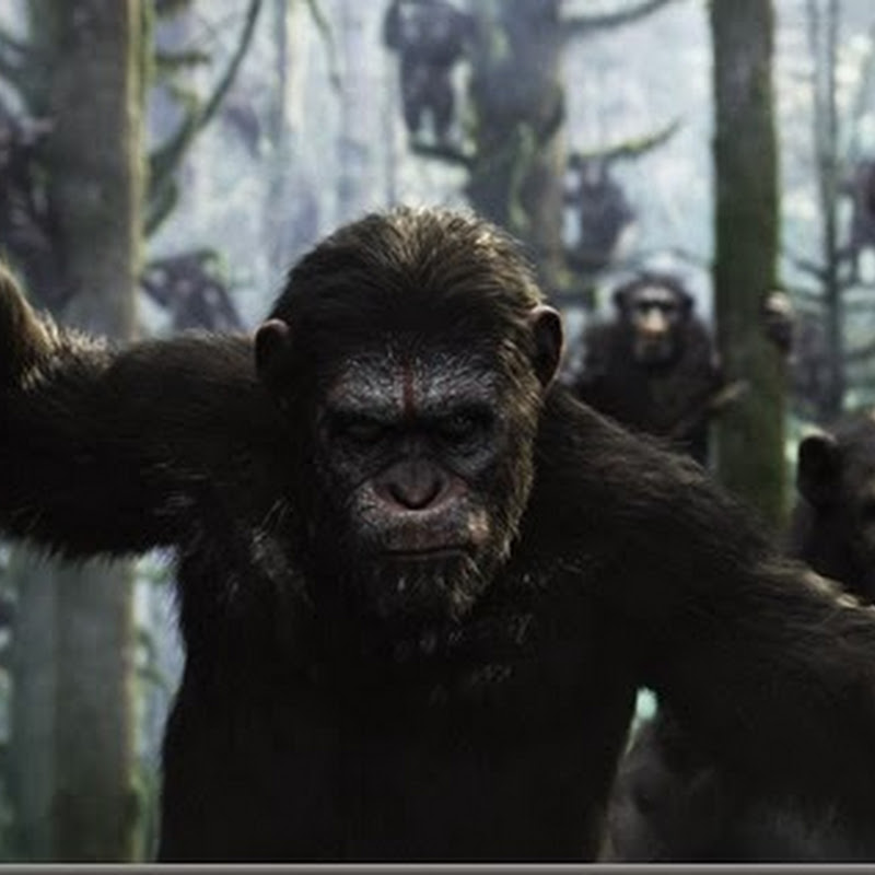 Superior Ape Caesar is Back in “Dawn of the Planet of the Apes”