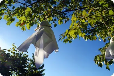 DIY ghosts in trees