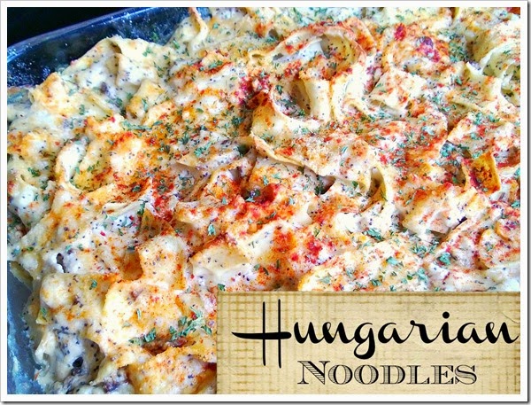 hungarian noodles