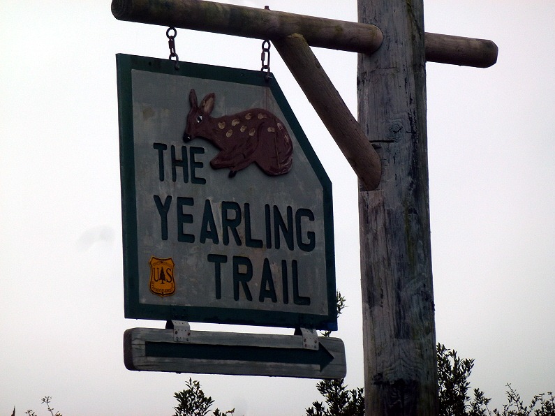 [03---Yearling-Trail---Sign4.jpg]