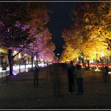 Unter den Linden
