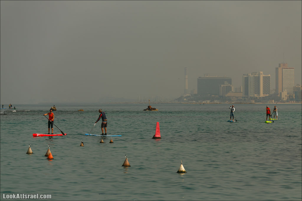 LookAtIsrael.com - Фото путешествия по Израилю | Занятия йогой в море в Тель Авиве | Yoga in Tel Aviv