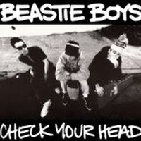 Check Your Head (2 LPs) [Vinyl]