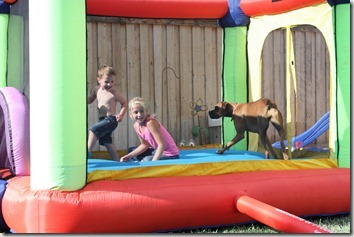 bouncy house 051