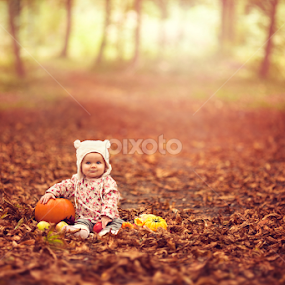 Autumn in the Woods by Claire Conybeare - Chinchilla Photography - Babies & Children Babies