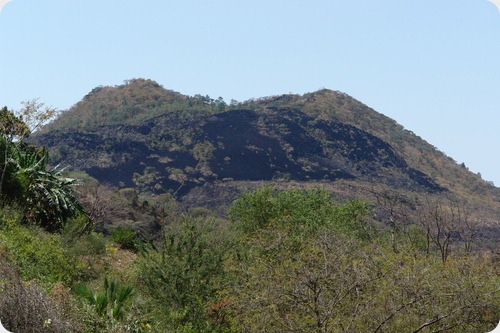 Volcán Jorullo