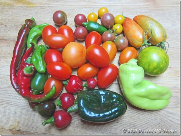 tomatoes&peppers