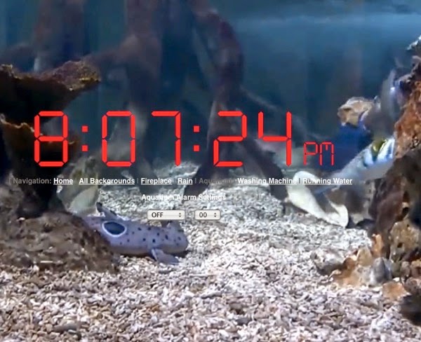 Clock over an aquarium video