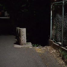 003.JPG