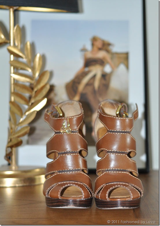bottega-veneta-spring2009-6