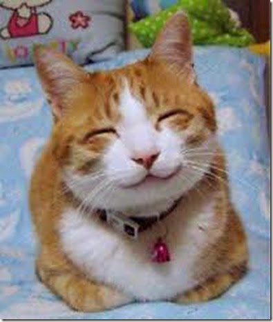 so_happy_smiling_cat