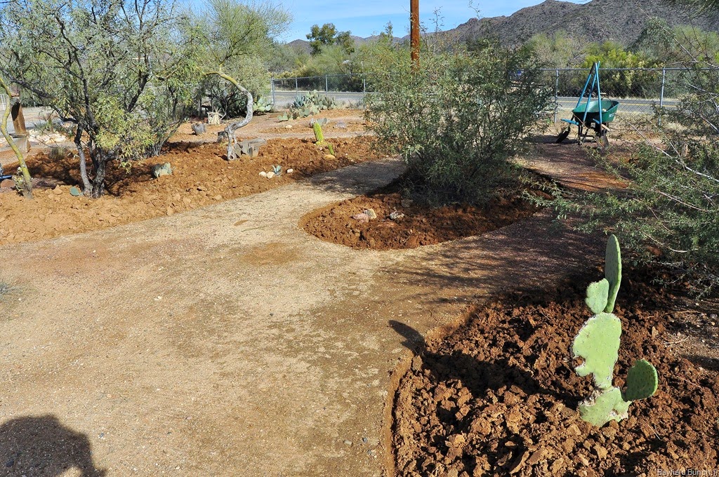 [DSC_0010%255B4%255D.jpg]