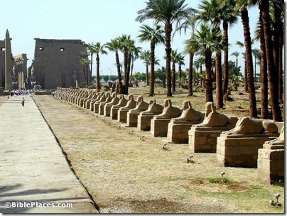 Luxor Temple Avenue of Sphinxes, tb110500232