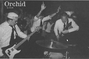 Orchid