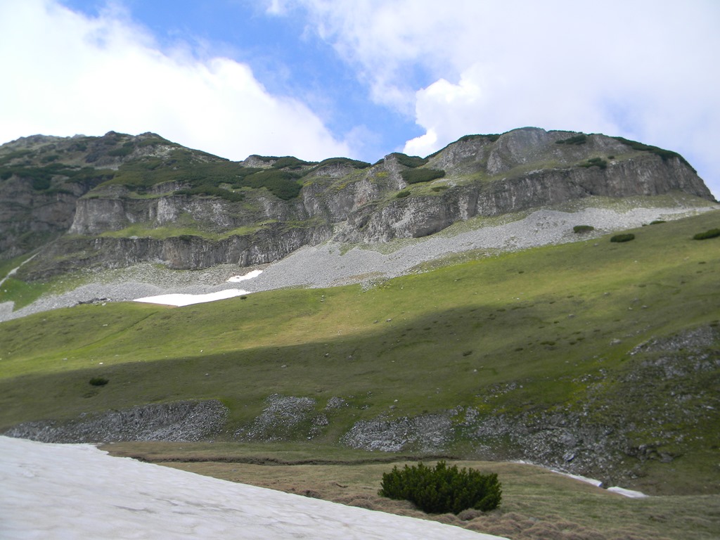 [DSCN14853.jpg]