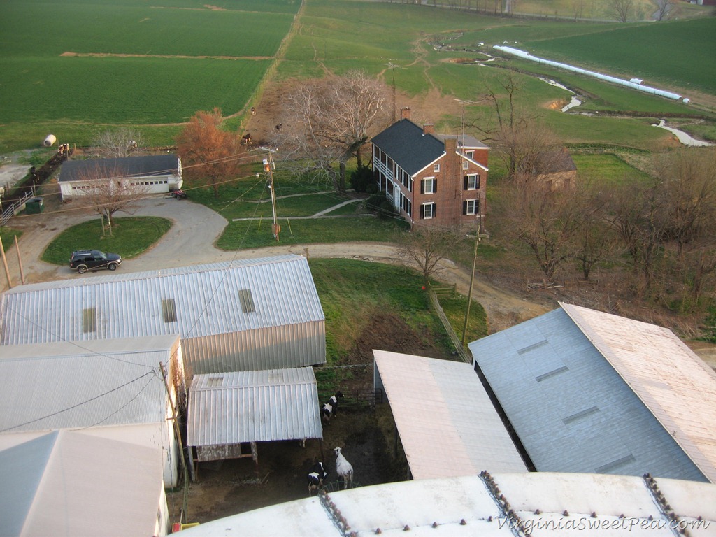 [IMG_8416%255B3%255D.jpg]