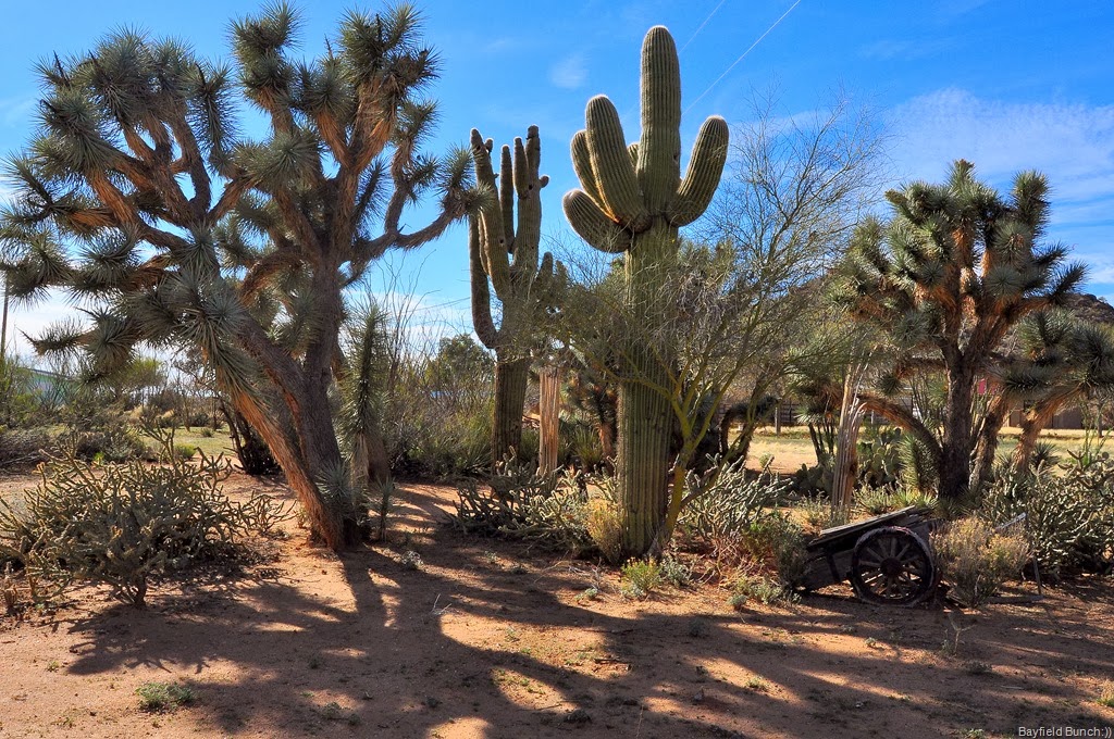 [DSC_0035%255B5%255D.jpg]