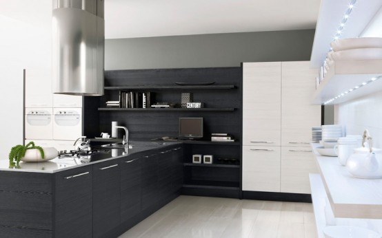 Modern Black and White Kitchen Design Ideas-New 2013