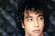 Albert Hammond, Jr.