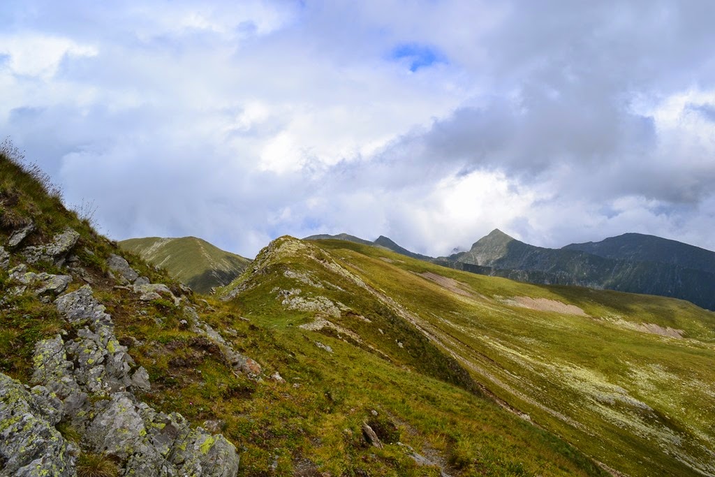 [DSC_51033.jpg]