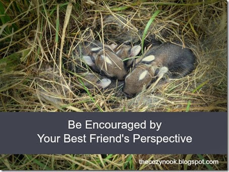 Be Encouraged by Your Best Friend's Perspective - The Cozy Nook