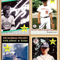 The Baseball Project