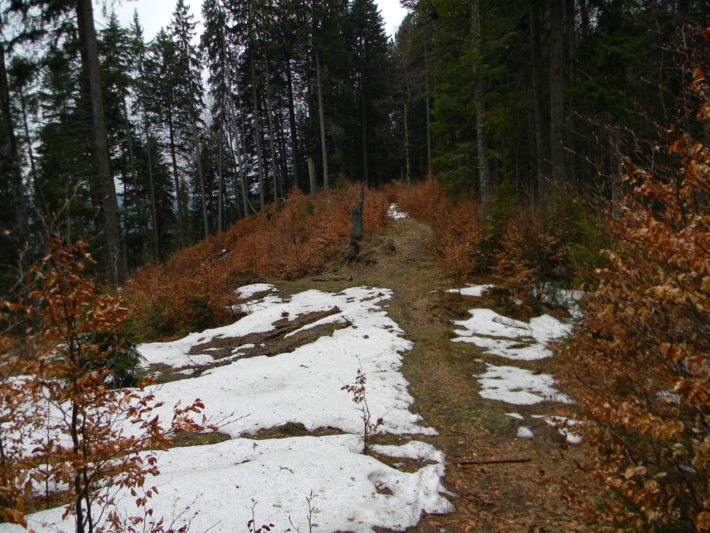 [DSCN70353.jpg]
