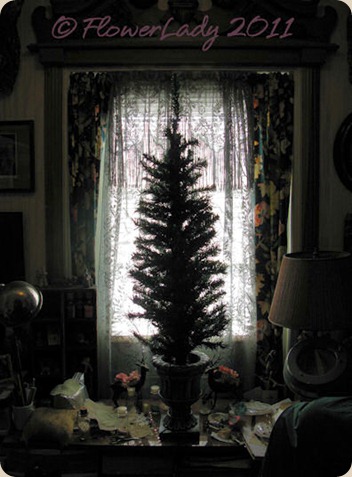 11-13-christmas-tree