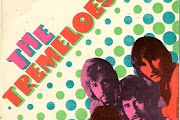 The Tremoloes