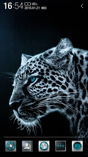 Leopard Atom Theme