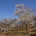 DA★ 16-50mm F2.8ED AL[IF]SDM
