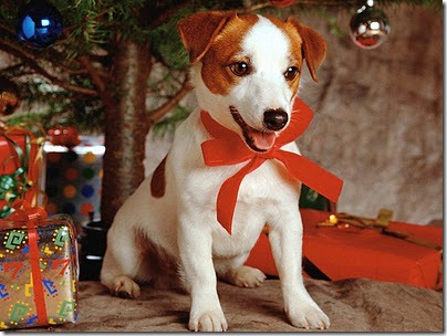 wallpapers%252520navidad%252520%25252811%252529_thumb