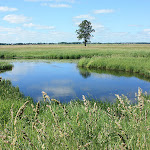 пи 1314 Елена Шахова.jpg