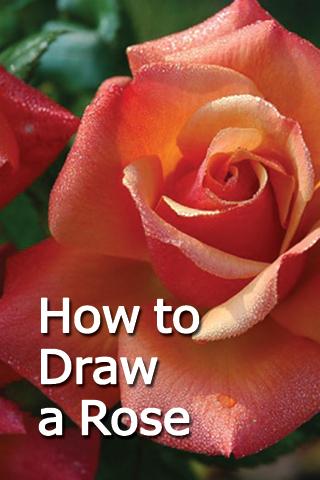 【免費教育App】How to Draw a Rose-APP點子