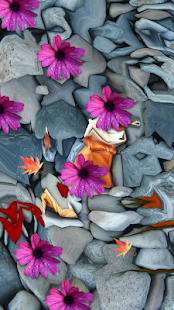 How to mod pond koi free 1.2 apk for laptop