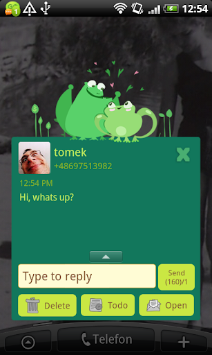 【免費個人化App】GO SMS Pro Love Frogs Theme-APP點子