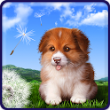 Puppy live wallpaper Pro logo
