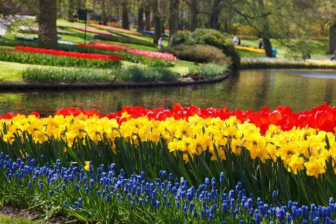 Netherland Nature Wallpaper