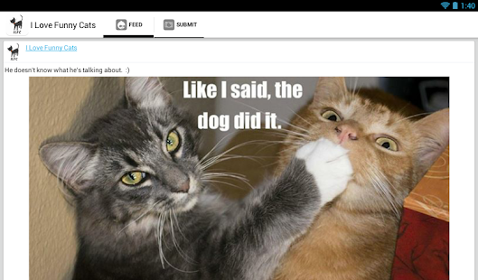 I love funny cats Screenshots 3