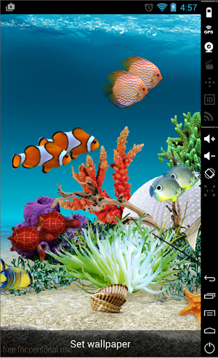 Nemo Aquarium LiveWallpaper